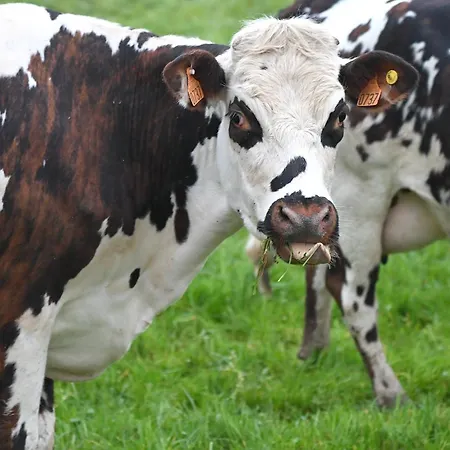 酒店 宜必思快捷酒店 利雪