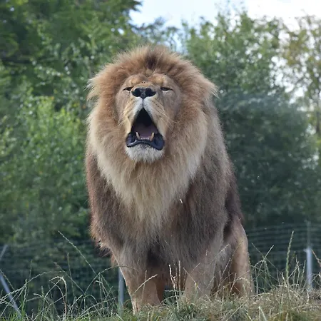 宜必思快捷酒店 酒店