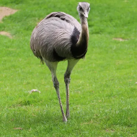 宜必思快捷酒店 酒店 2*