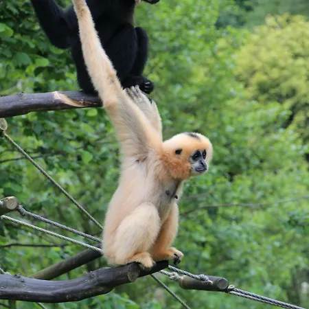 宜必思快捷酒店