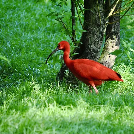 宜必思快捷酒店 酒店 2*