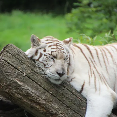 酒店 宜必思快捷酒店