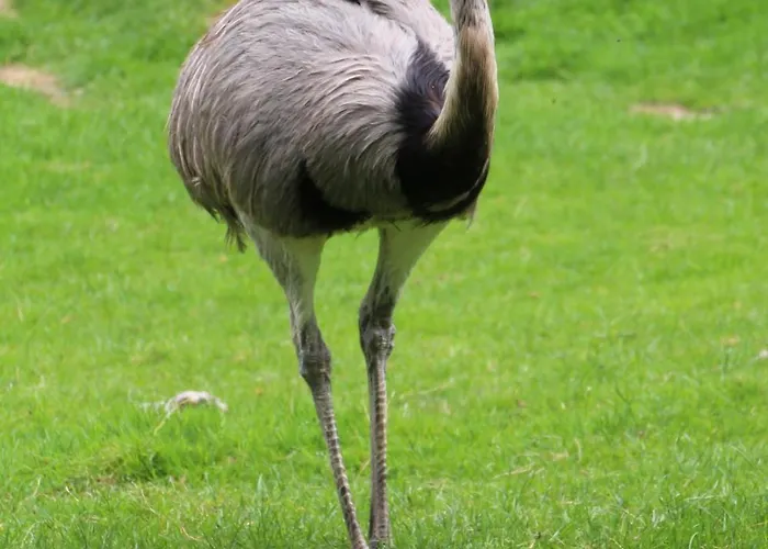 Ibis Budget Ξενοδοχείο 2*