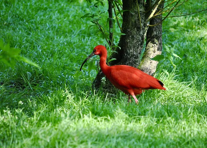 Ibis Budget Ξενοδοχείο 2*